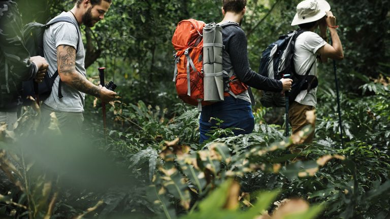 Trekking in a forest